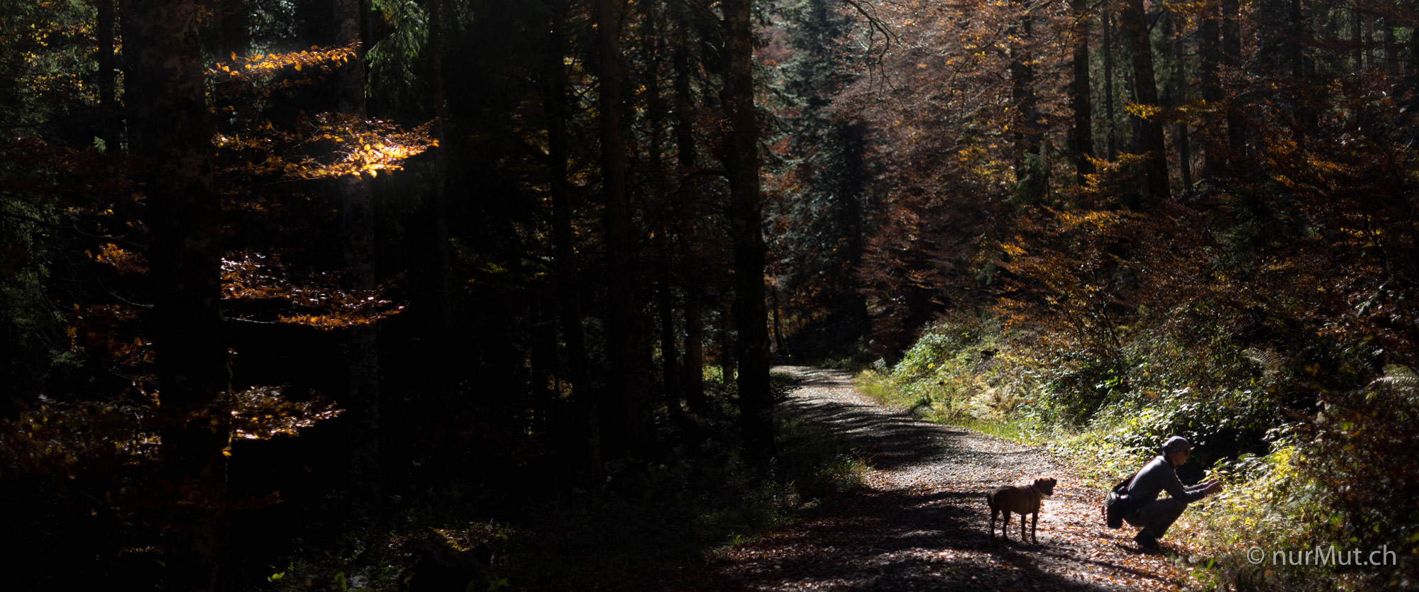 Herbstlicher Suedwesten-Elsass-Thierenbach
