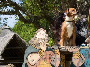 Bretagne-Gallien-Hund-Asterix-Wohnmobil
