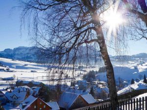 Winterwanderung-mit-hund-im-appenzellerland